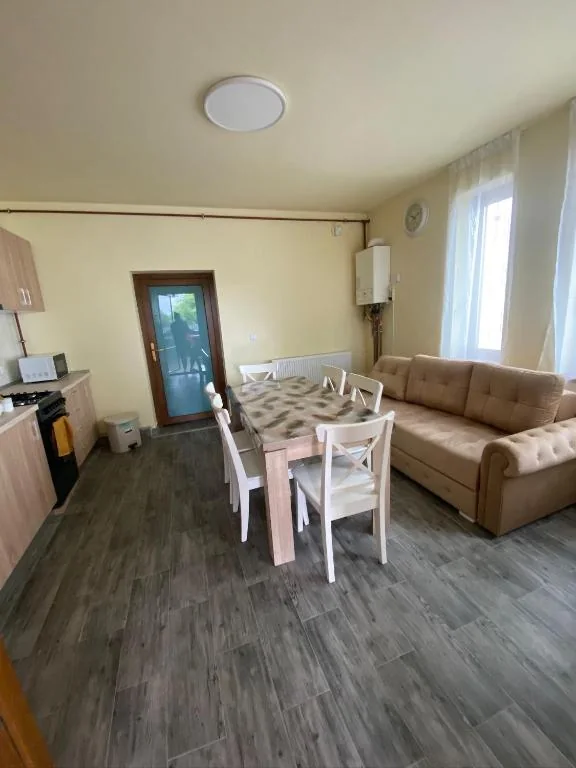 Spațiul de zi · canapea extensibilă — apartament de 46 m²